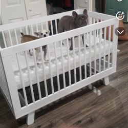 Crib 