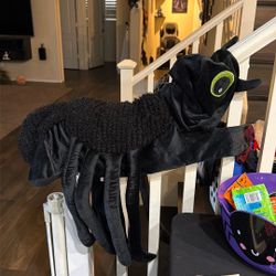 Dog Spider Costume XL