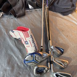 6 GOLF CLUBS AND TAYLOR MADE COVER RARE