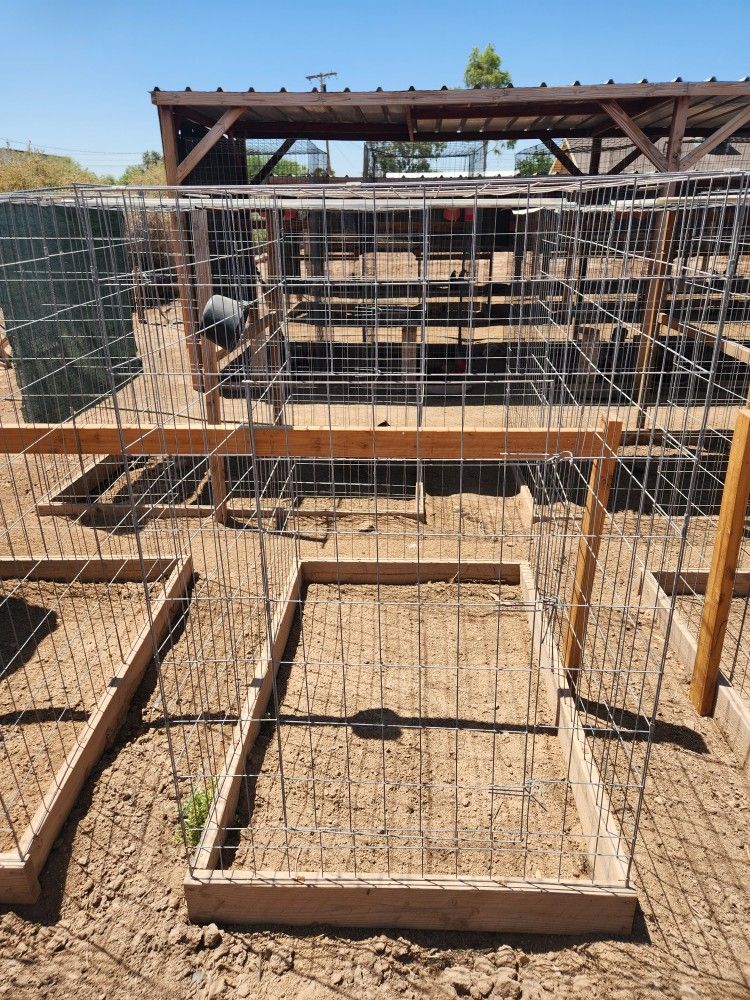 Poultry Cages