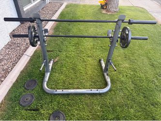 bench press squat rack