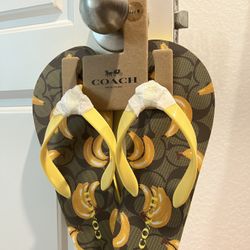 Brand New Coach Slides