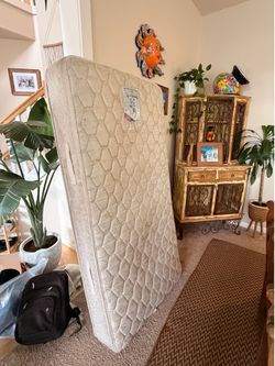 Free Twin Mattress
