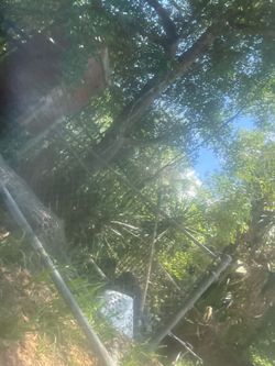 Suburban