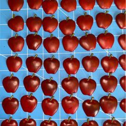 100 apple flatback resin cabochon craft scrapbooking decoration embellishments $18