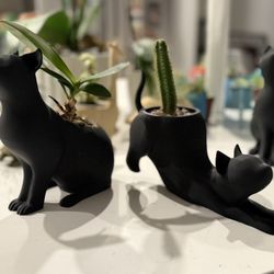 Black Car Planters 