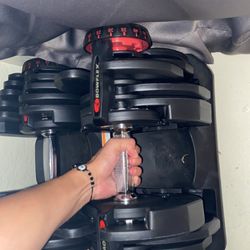Bow Flex Adjustable Weight 10-90  