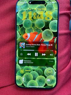 iPhone 17 Pro