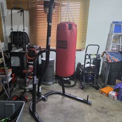 Everlast Punching Bag And Stand