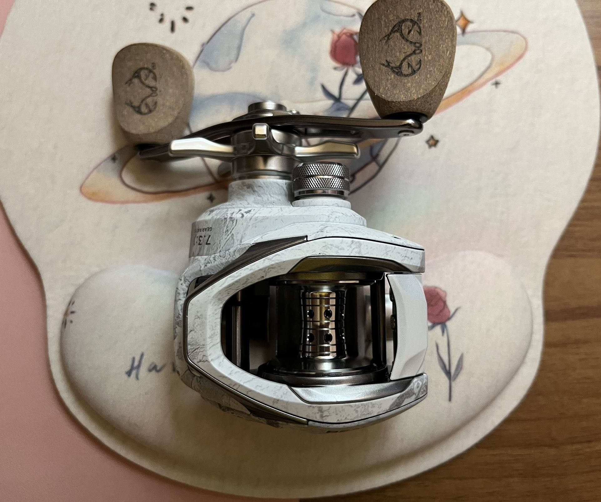 Baitcast Fishing Reel