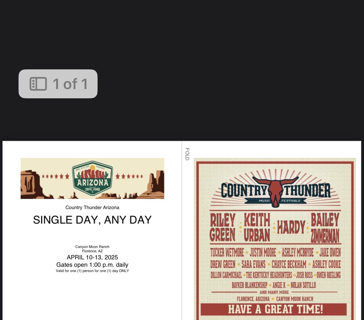 Country Thunder Single day Any-Day GA