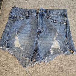 Kendall +  Kylie The ICON Shorts