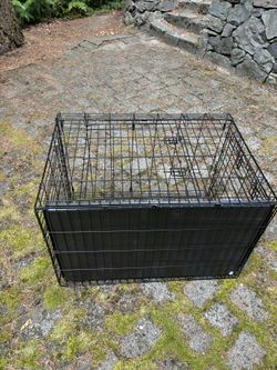 Animal Create (large size)