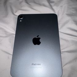 Ipad Mini 7 