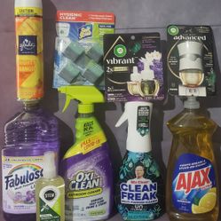 NASHVILLE, GA Lot Of 9 Household Cleaning Bundle 