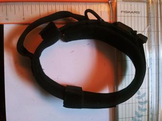 Tactical Collar Dog Adult.