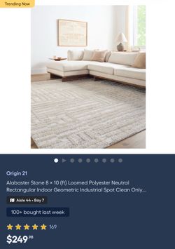 Fuzzy 8’x10’ area rug