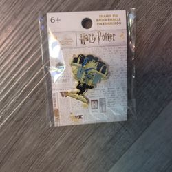 Pin Harry Potter 