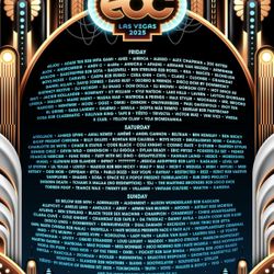 V.I.P EDC Ticket 