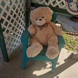 Large Teedy Bear 