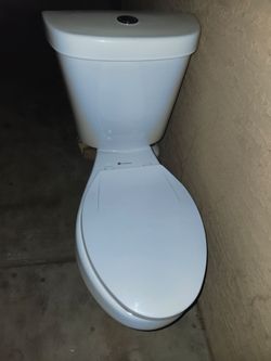 Glacier bay toilet