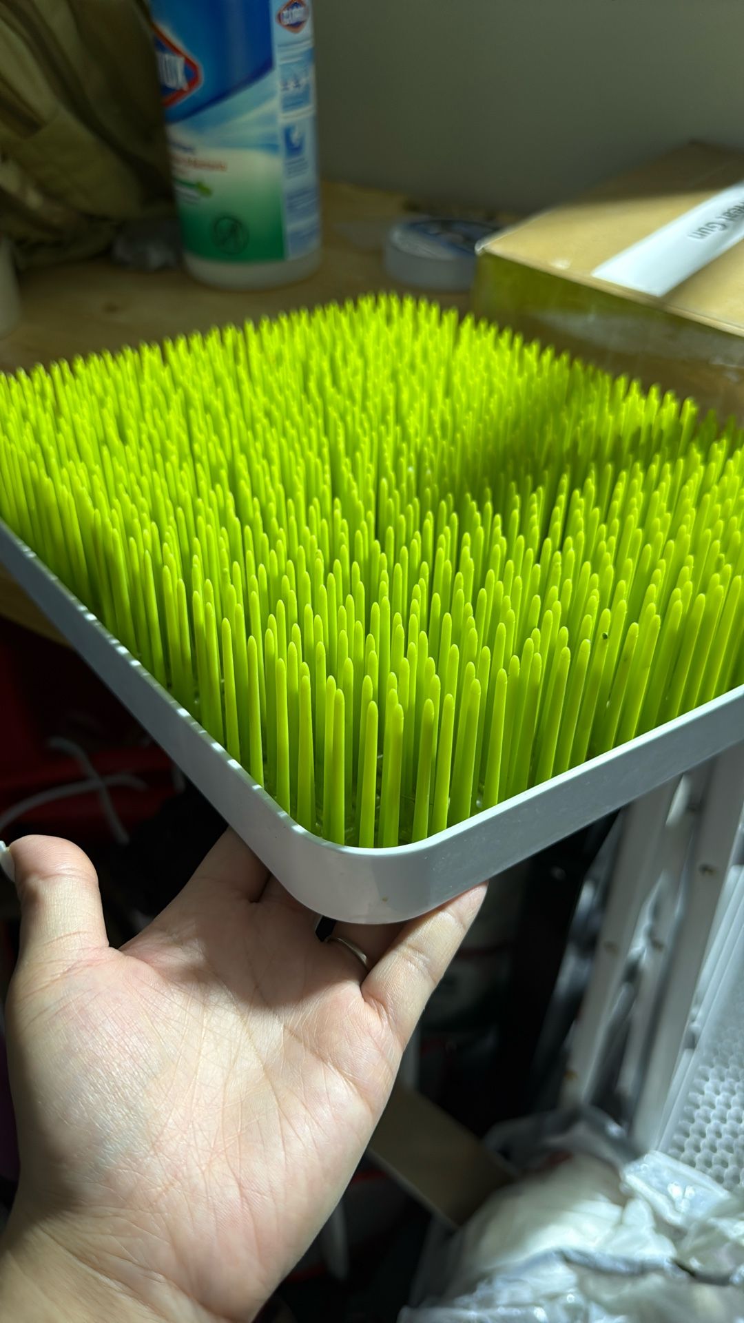 Baby Bottles Drying Grass