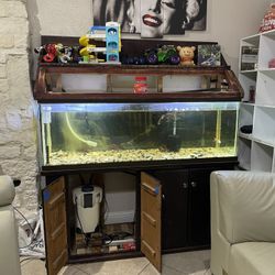 Fish Tank 130 Gallons + Sum Filter + Canister Filter