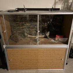 Bearded Dragon Enclosure for Sale – Zen Habitats (4x2x2)