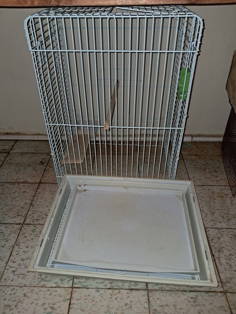 Bird Cage Used Price For 1