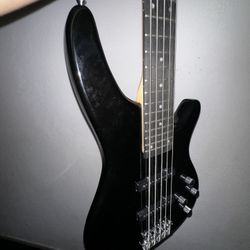 Electric Bass Guitar/Bajo Electrico