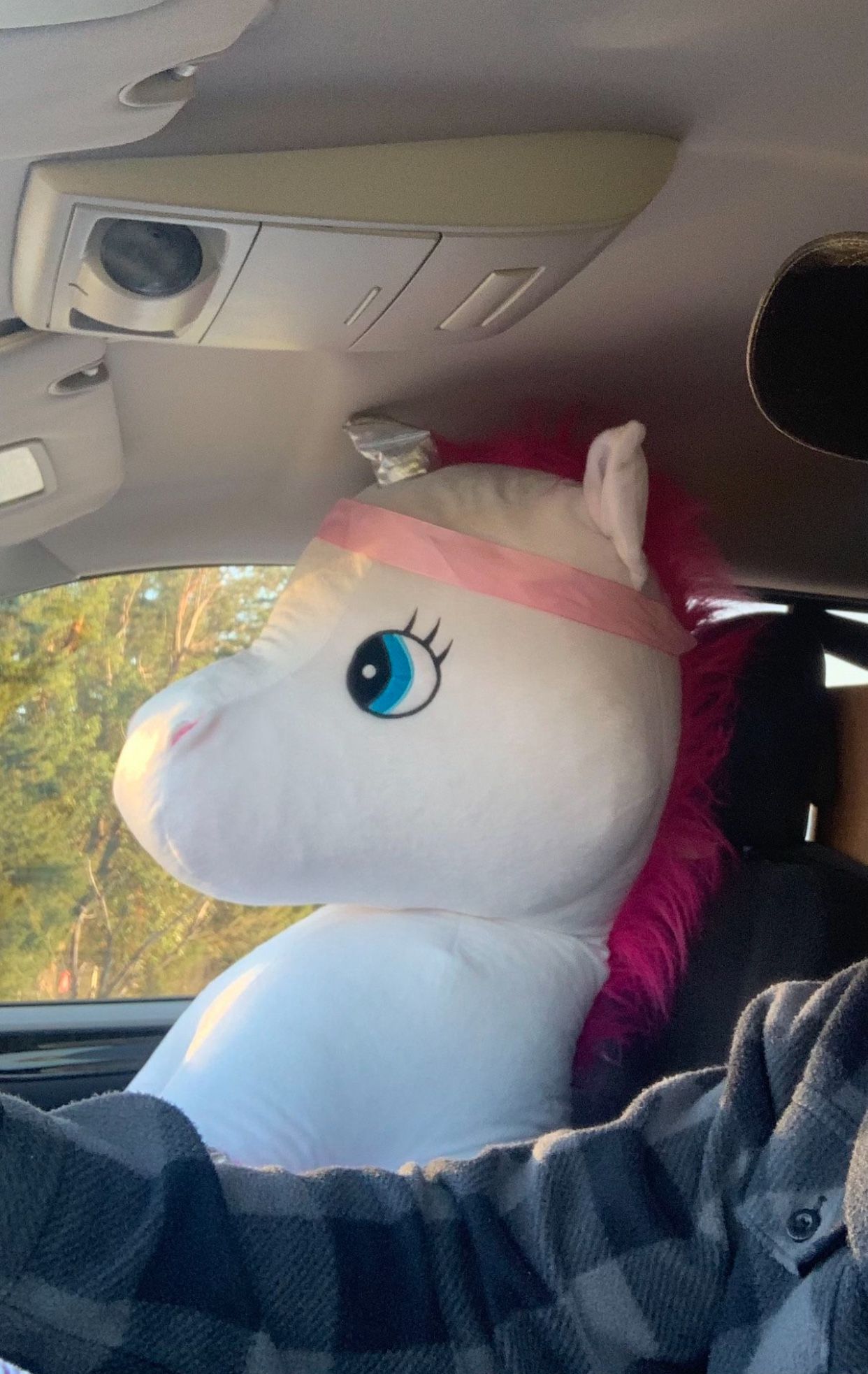 Stuffed Animal 3ft Tall