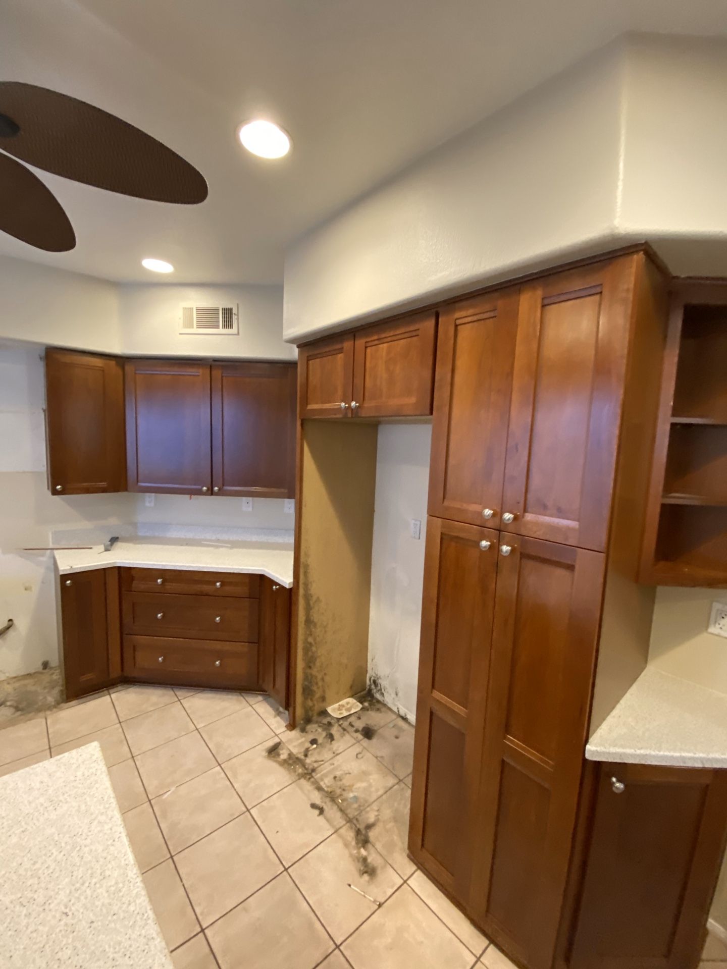 Kitchen Cabinets