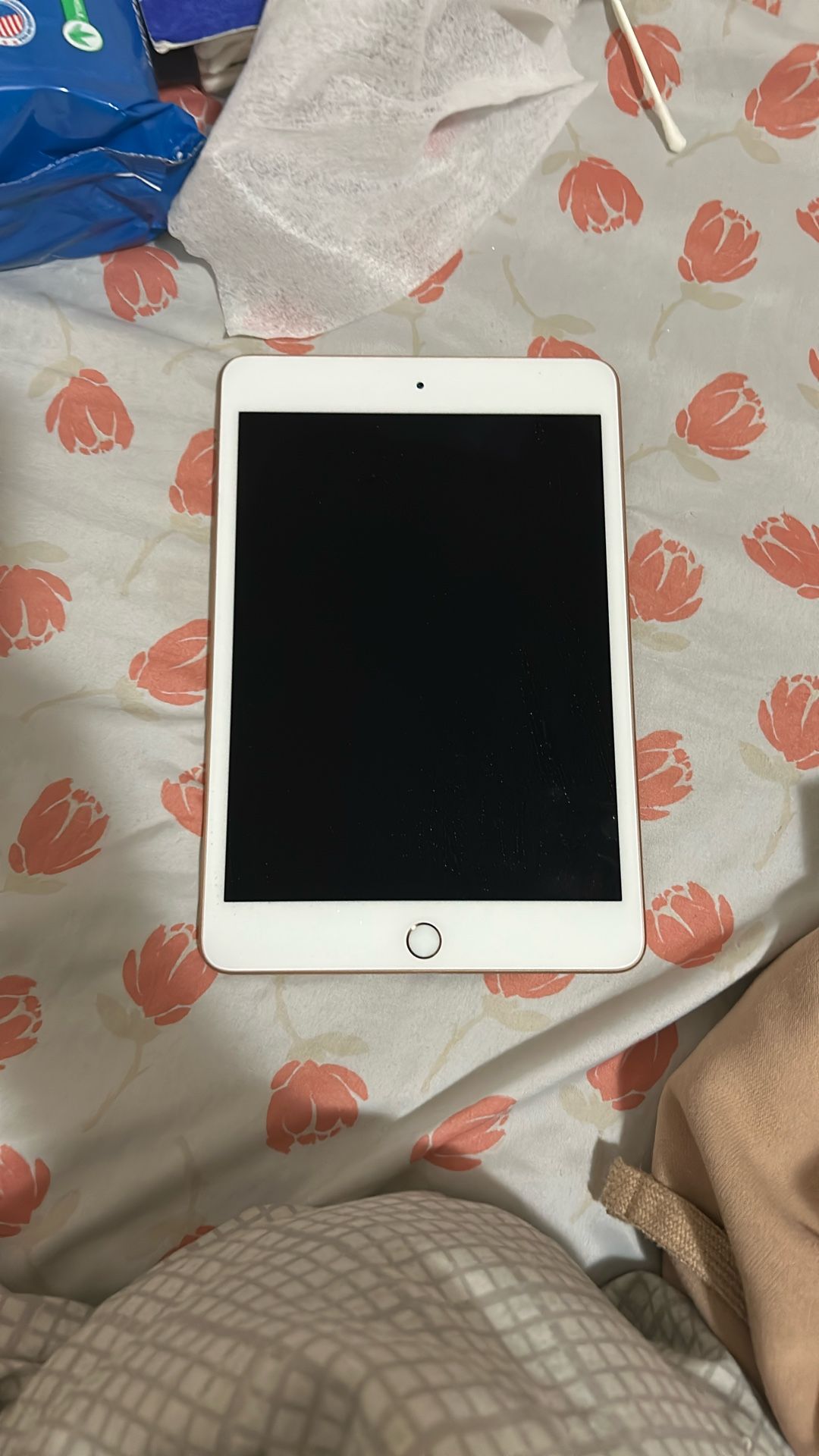 Used iPad Mini 5th Gen 
