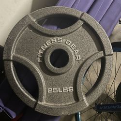 25 lb Weight plate Set 