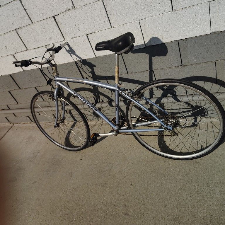 Specialized Crossword