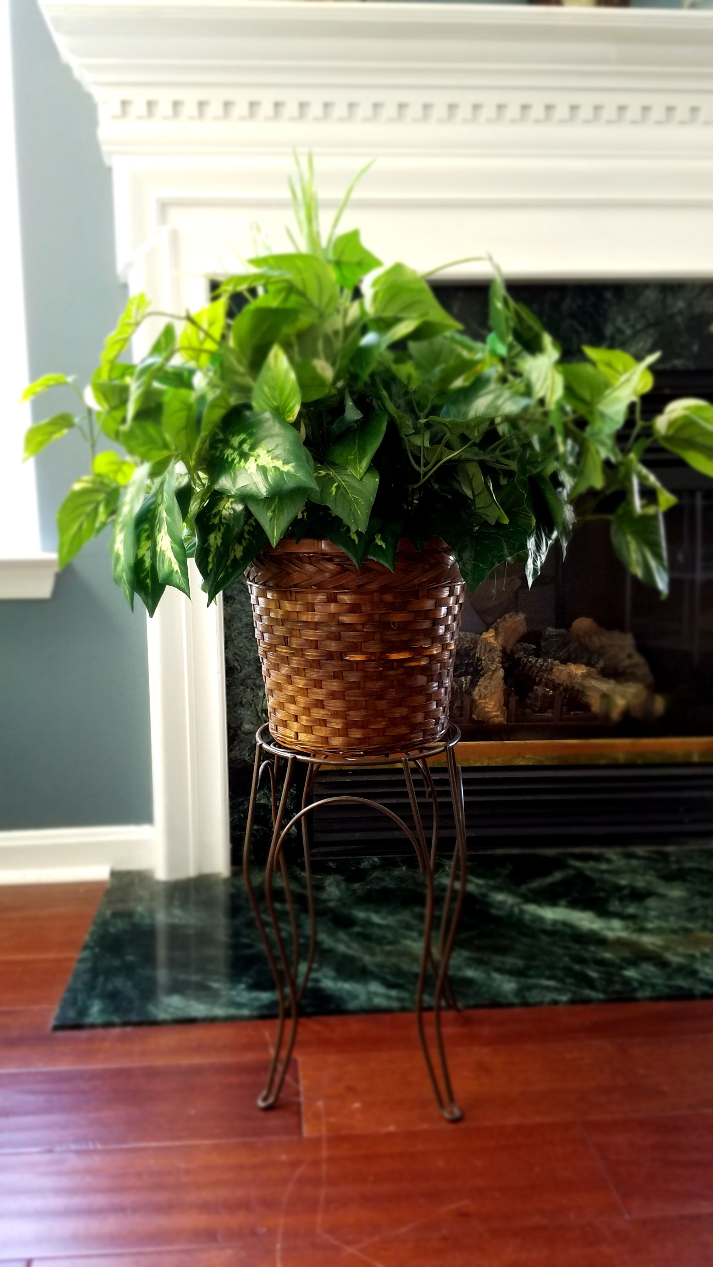 Plant and metal stand