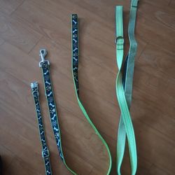 Dog Accessories.