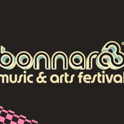 2 VIP bonnaroo 2025 tickets 