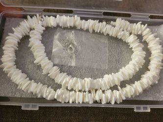 Seashell necklace