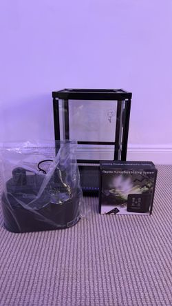 Reptile set
