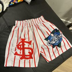 Red And White Crisp Shorts 