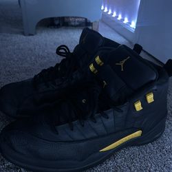 Jordan 12s