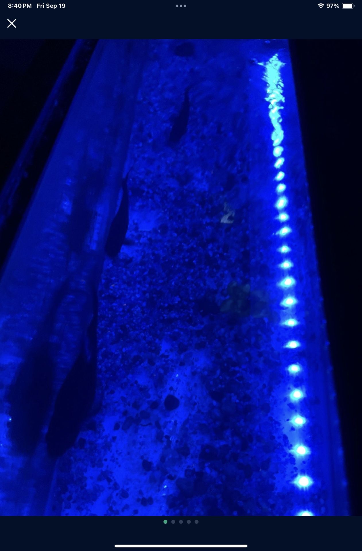 Fish Tank Supplies