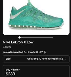 Nike LeBron X Low Easter
Used
Size 12