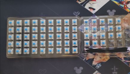 Royal Kludge blue switches 67 total