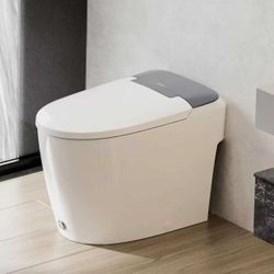 Wholesale and retail all-in-one elongated toilet with cleaning function, ADA comfortable seat height, foot flush,  1.0GPF Button  W10V