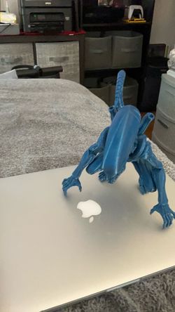 Alien xnenomorph
