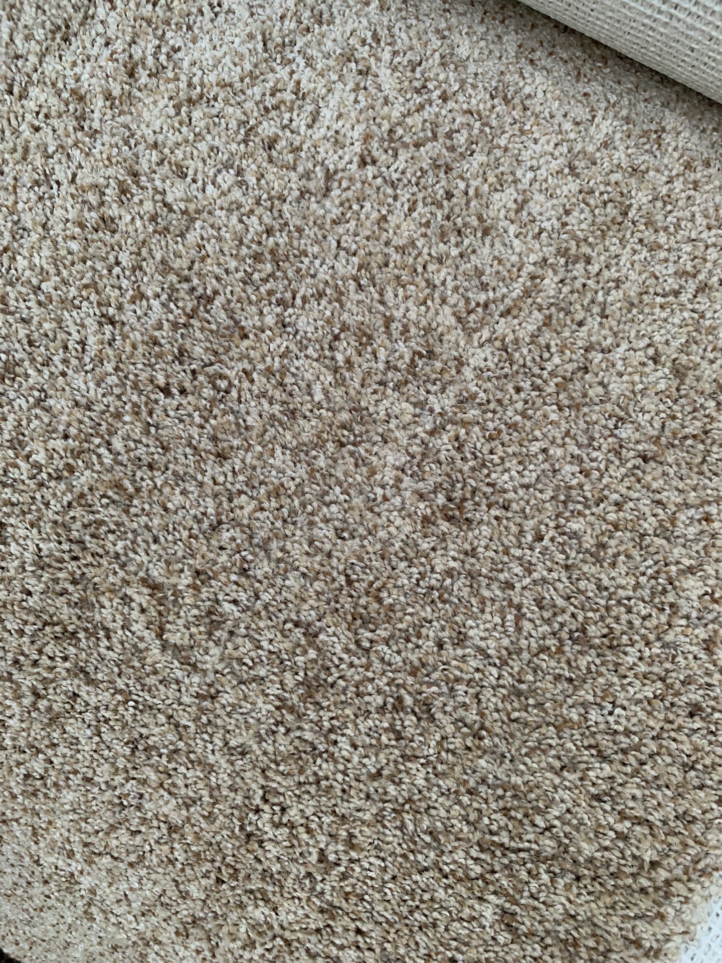 New Carpet