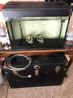 Fish tank setup, everything but fish!! 38 gallons!!