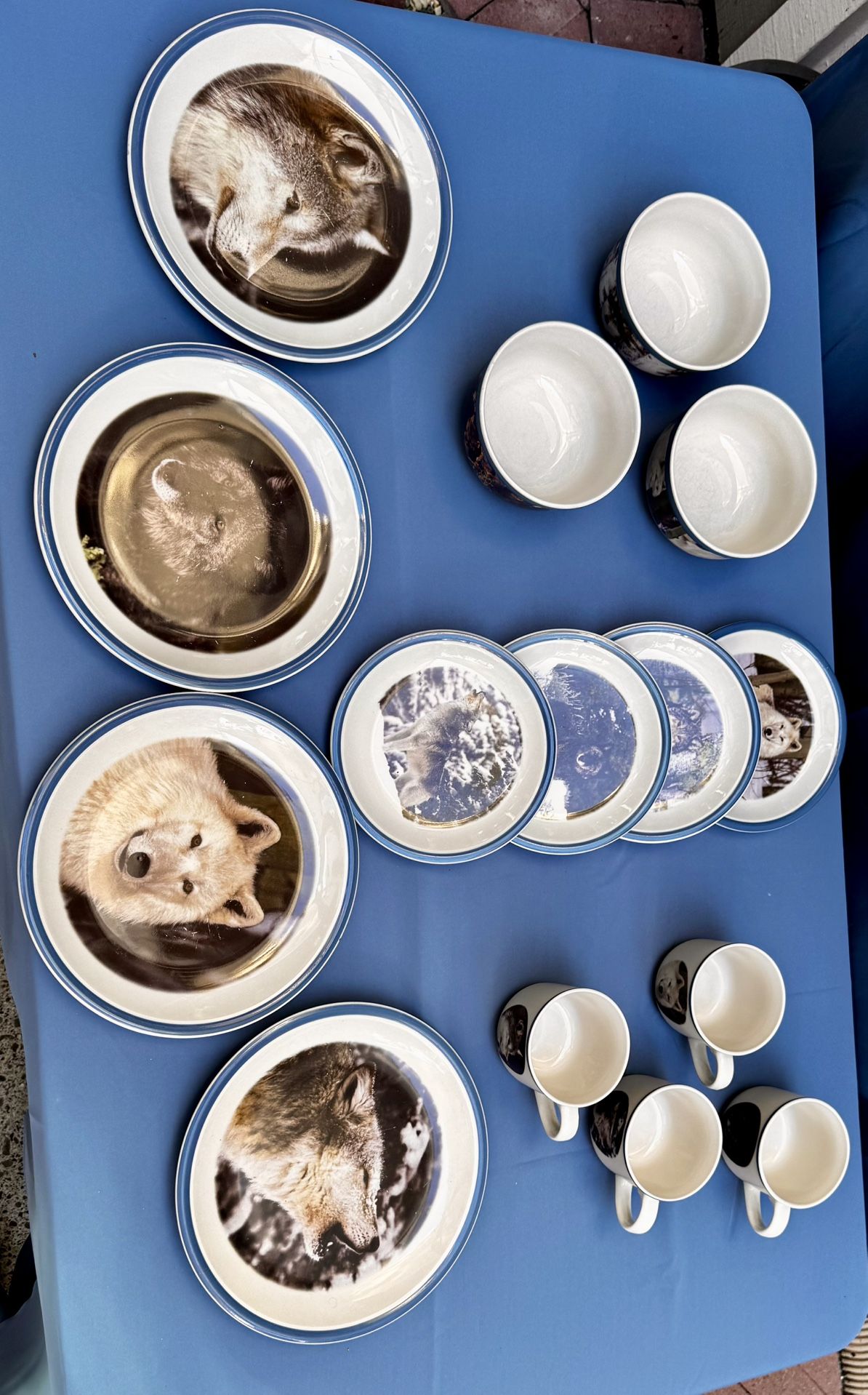 Nat'l Wildlife "WOLF" ~ Blue Band ~ Set of 4 Designs